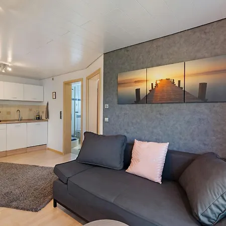 Sonnenschein 아파트